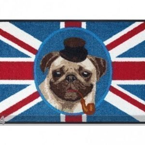 Kleen-Tex Matto British Pug 50x75 Cm