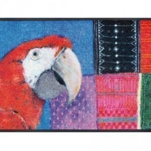 Kleen-Tex Matto Paradise Papagei 50x75 Cm