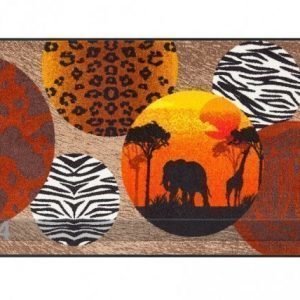 Salonloewe Matto Afrikka 75x120 Cm