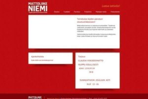 Mattoliike Niemi